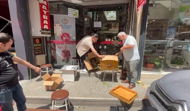Bursa'da binlerce arı iş merkezini bastı