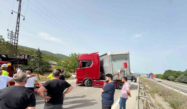 Bir arının yaptığına bak...Yüzlerce kişiyi mağdur etti