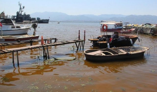 Bursa dahil 3 il için uyarı! Denizin rengi kahverengiye döndü