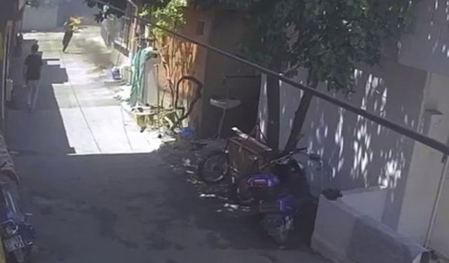 Adana'da amca yeğenini yaktı