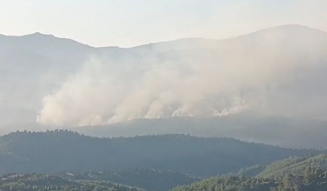 İzmir’de orman yangını sürüyor...Müdahale yeniden başladı