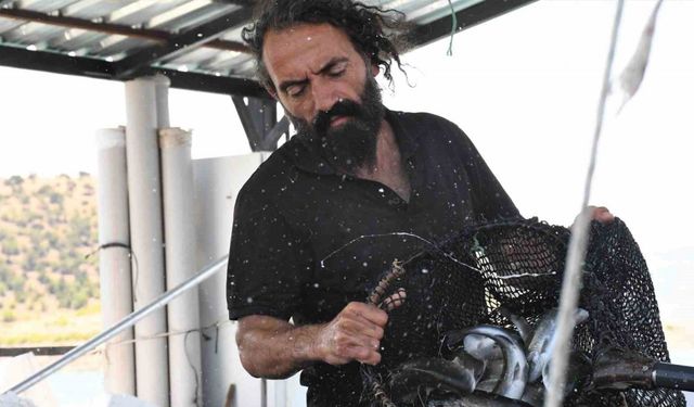 Yozgat bozkırında yılda ortalama 225 ton balık üretiyor