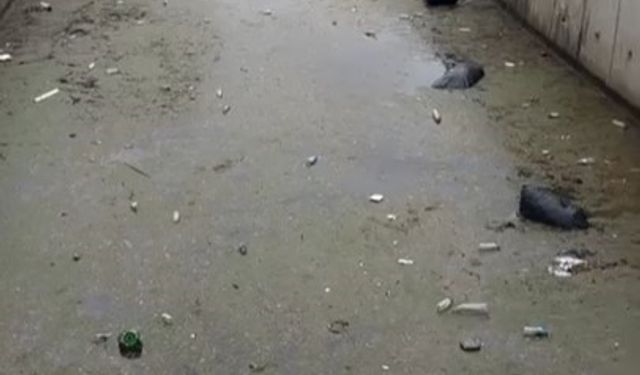 Bursa Gemlik körfezi çöplüğe döndü