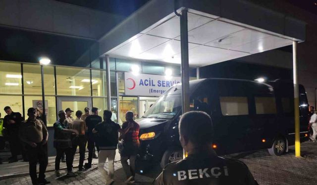 Rapçi Çakal Tekirdağ'da saçmaların hedefi oldu