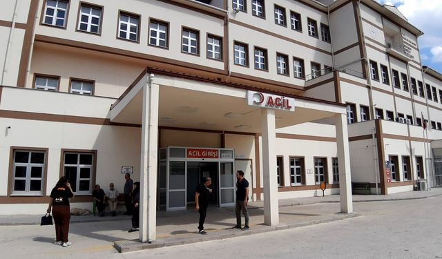 Bolu’da ayı saldırısında 1 kişi yaralandı