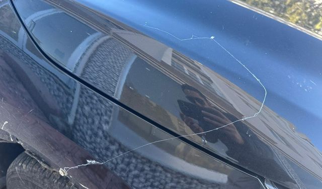 Tekirdağ’da gökyüzünden örümcek ağı yağdı