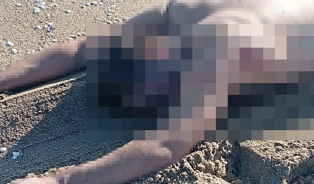 Sakarya’da sahilde çıplak erkek cesedi bulundu