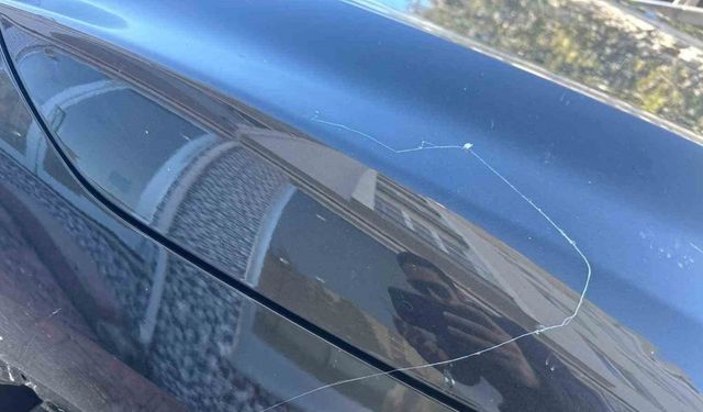 Tekirdağ’da gökyüzünden örümcek ağı yağdı