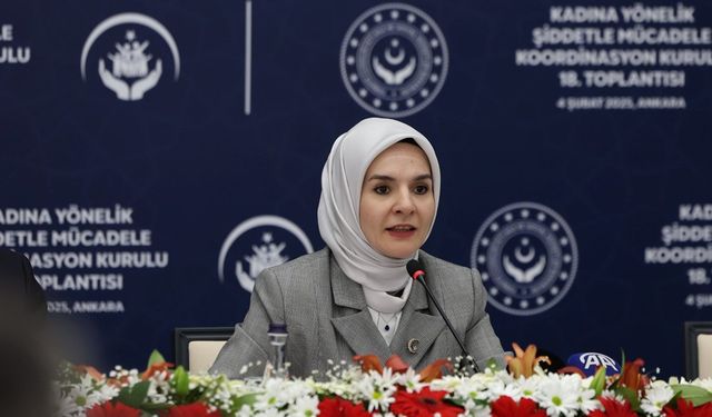 ‘Türkiye’de Kadına Yönelik Şiddet Araştırması’ tamamlandı