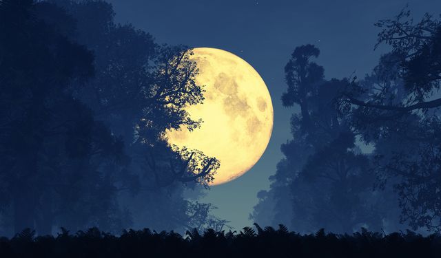 5 Kasım'da gökyüzüne dikkat!