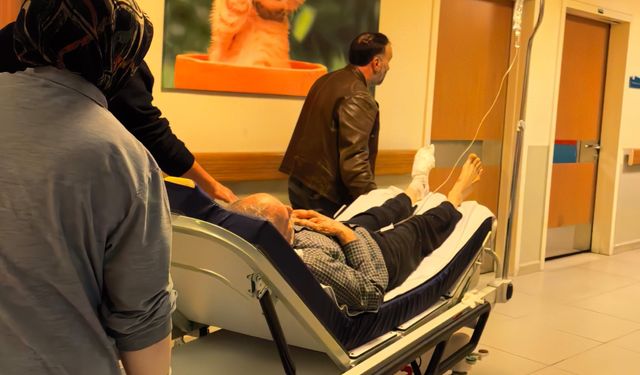 Bursa'da odun kesmek isterken, ayağını kesti