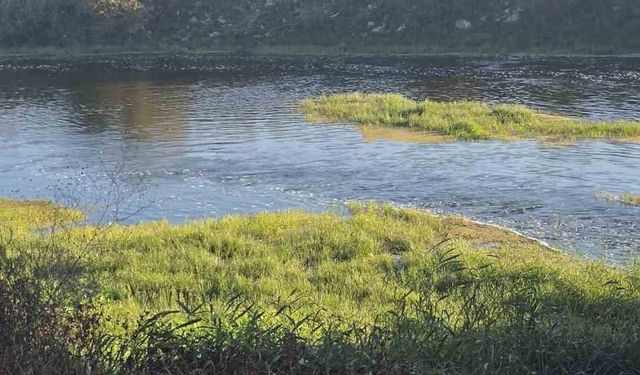 Canbolu Deresi’nde acı oyun: 10 yaşındaki çocuk hayatını kaybetti