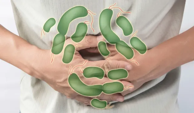 Gıda zehirlenmelerinde bunlara dikkat