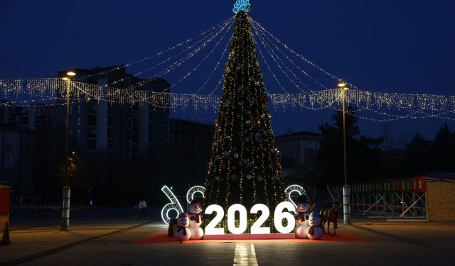 Nilüfer, yeni yıla hazır