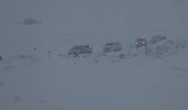 Artvin'in Ardanuç ilçesi Aksu Yaylası'nda çığ