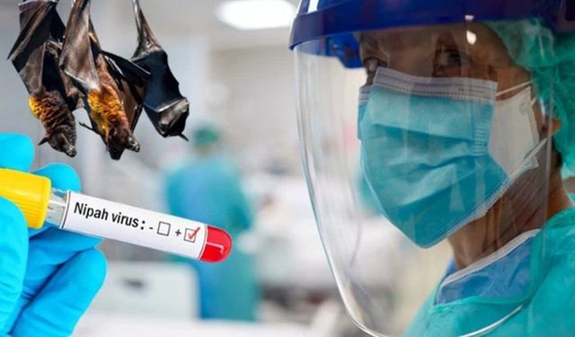 Nipah virüsü Türkiye'ye gelir mi?