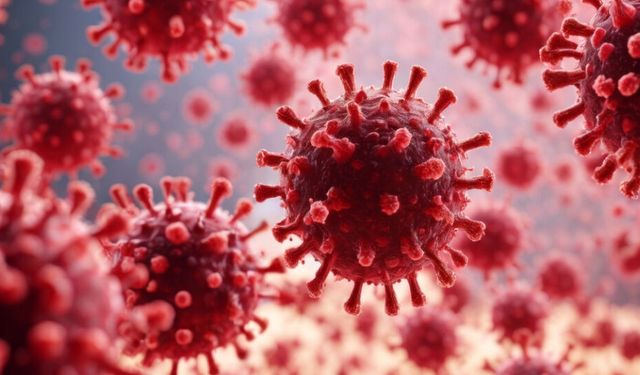 Bocavirüs alarmı! 2 yaş altı çocuklar risk altında