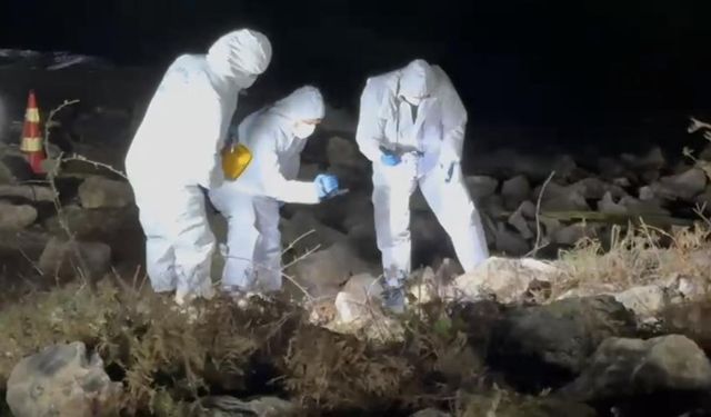 8 gün sonra gölette bulundu: Elif Kumal'ın ölüm nedeni belli oldu