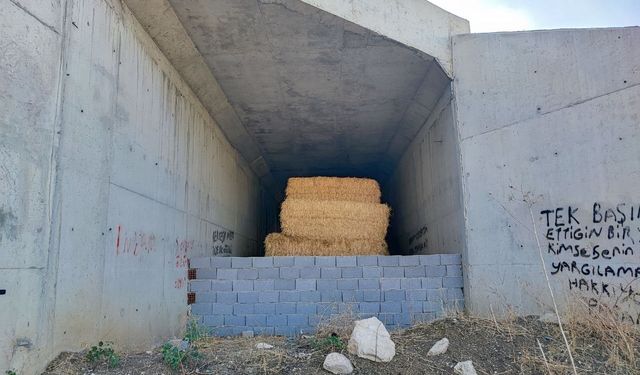 7 yıldır bitmeyen yolun köprü ayakları samanlığa döndü