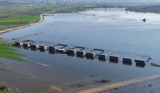 Uluabat Gölü taştı!! Akçalar'da bungalovlar, göl evi oldu