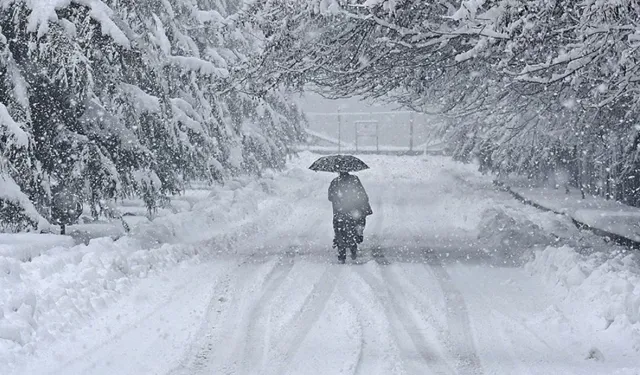 Japonya'da yoğun kar yağışında 35 kişi öldü, 358 kişi yaralandı