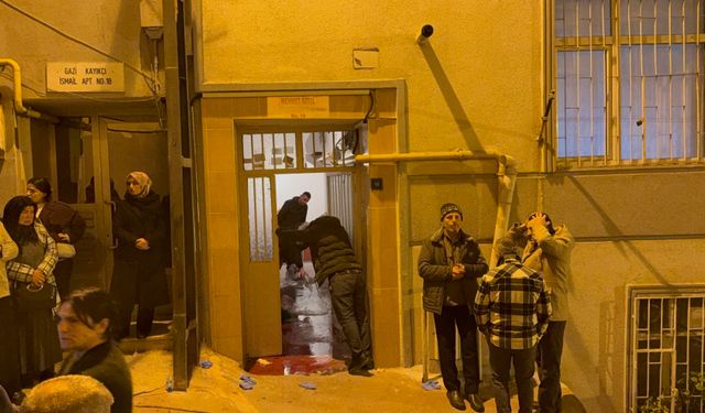 Apartman girişinde dehşet: Baldızını öldüren şahıs intihar etti