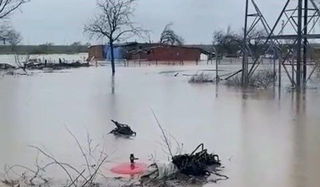 Sağanak Bursa'yı vurdu: Tarlalar göle döndü, hayvanlar mahsur kaldı
