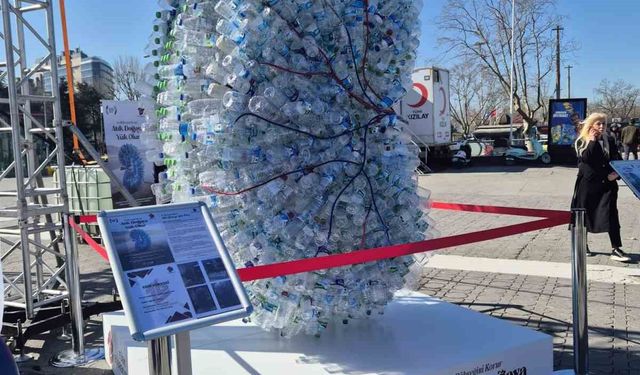 Türkiye'de 72 bin diyaliz hastası bulunuyor