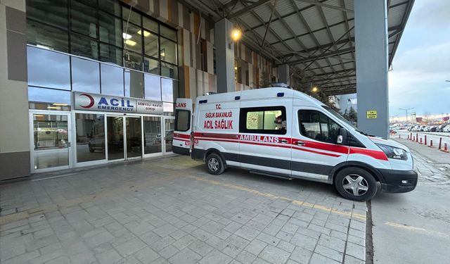 Van'da köpeklerin saldırdığı 5 yaşındaki çocuk hayatını kaybetti