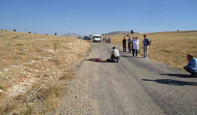 Antalya'da 15 yıllık cinayetin sırrı çözüldü