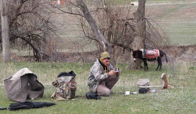 Dijital çoban!! Koyun sürüsünü dronle yönetiyor