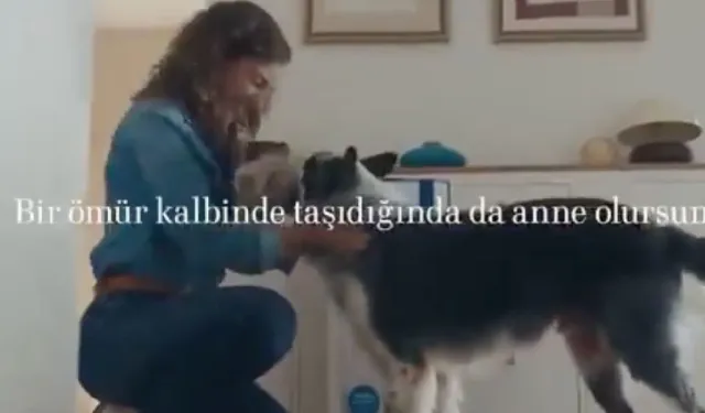 Bosch'un anneler günü reklamı, tepkiler üzerine yayından kaldırıldı