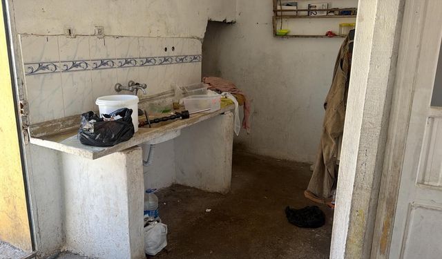 İğrenç görüntüler!! Böcekler arasında peynir üretimi