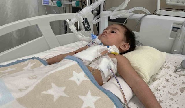 Konya'da 1 yaşındaki bebeğin akciğerinden ceviz çıktı