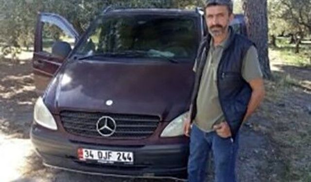 Zeytin toplarken arı soktu hayatını kaybetti