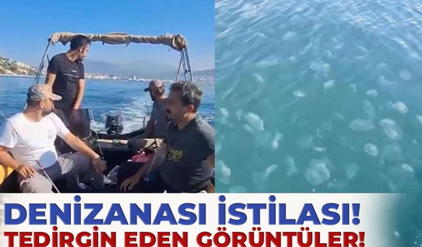 Vatandaşlar Tedirgin! Marmara’da Denizanası İstilası