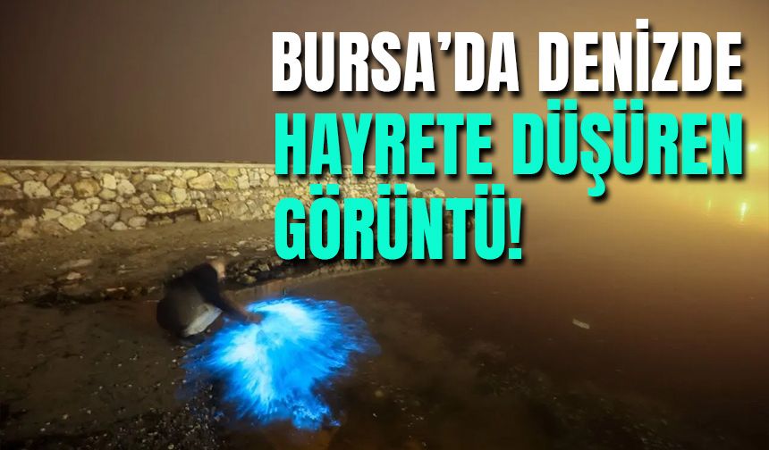 Bursa'da Deniz Gece Yarısı Parladı!