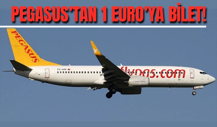 Pegasus'tan 1 Euroya Uçak Bileti