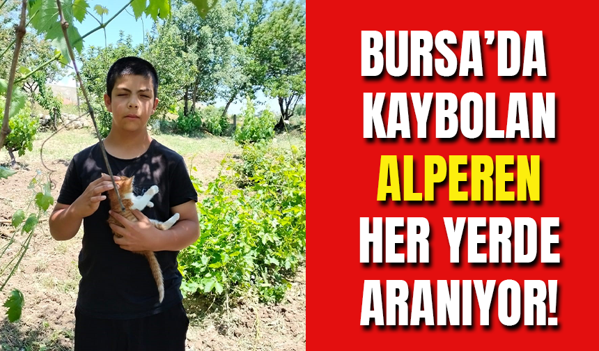 Bursa'da Kaybolan 14 Yaşındaki Alperen Her Yerde Aranıyor!