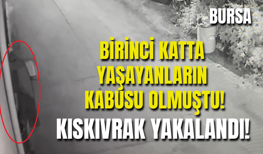 Bursa'da Evlere Dadanan Hırsız Kıskıvrak Yakalandı!