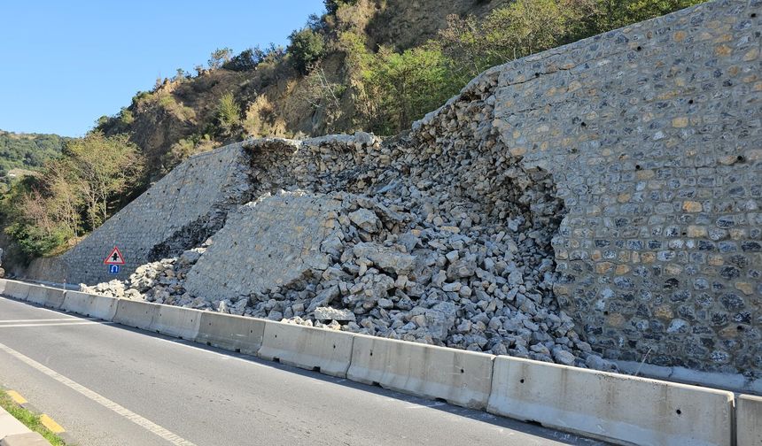 Zonguldak'ta Yaşanan Heyelan Korkuttu