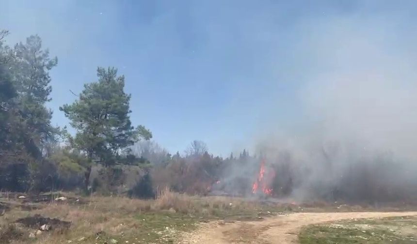 Bursa'da korkutan orman yangını