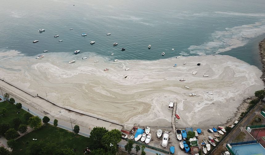 Marmara Denizi için kritik uyarı