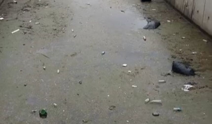 Bursa Gemlik körfezi çöplüğe döndü