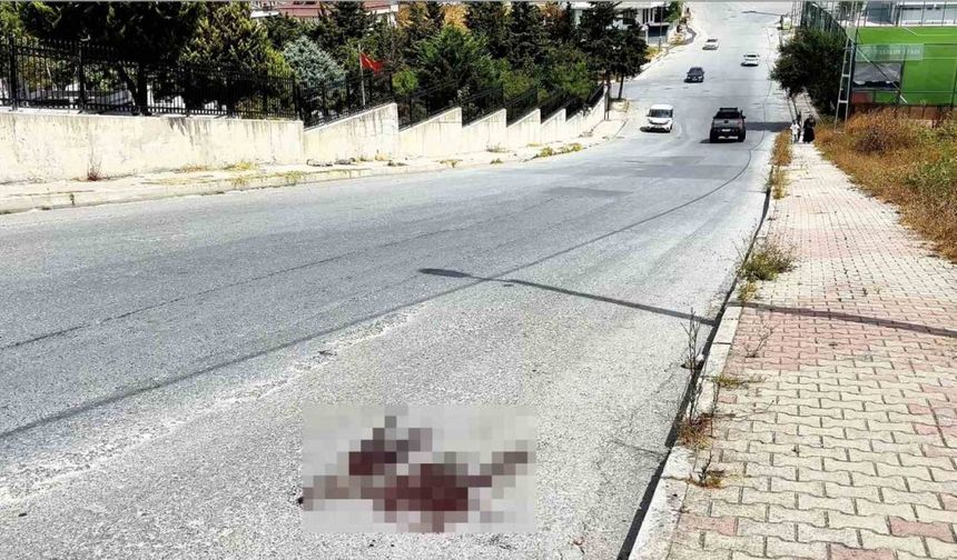 Mezarlık önünde kardeş kavgası cinayetle bitti: 1 ölü