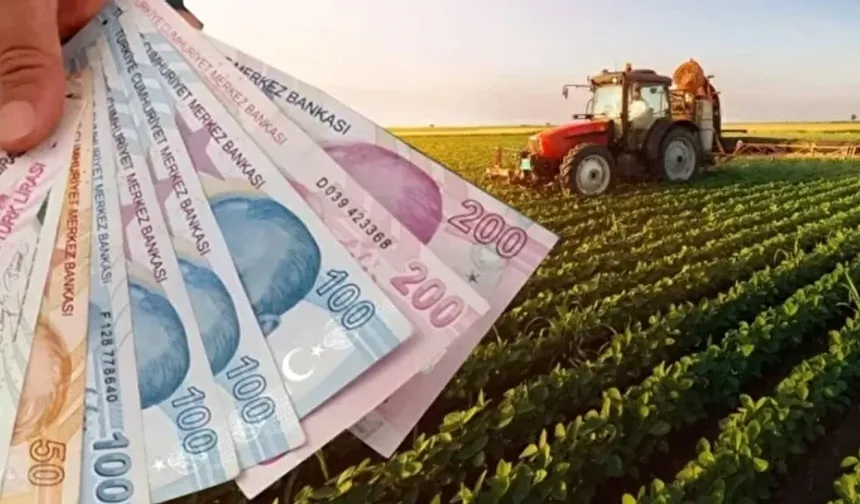 Tapu sahipleri için kritik tarih: Ekilmeyen tarım arazisi kiraya verilecek!