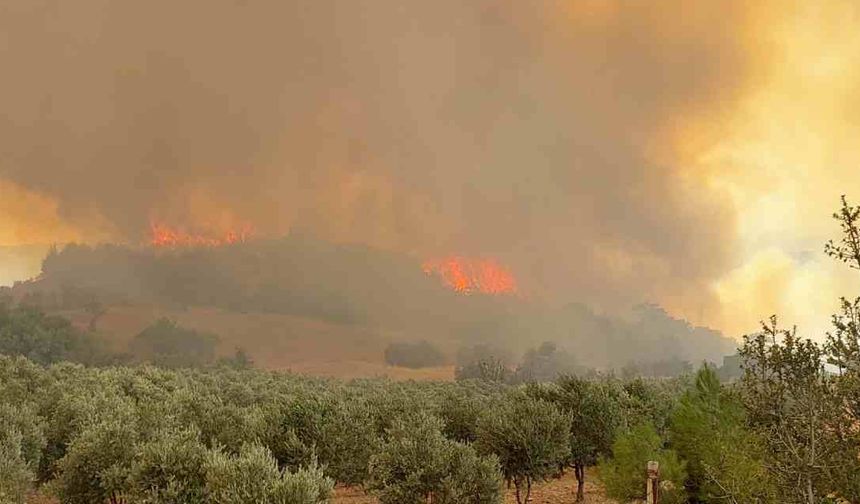 Denizli'de ormanlar 4 gündür alev alev yanıyor