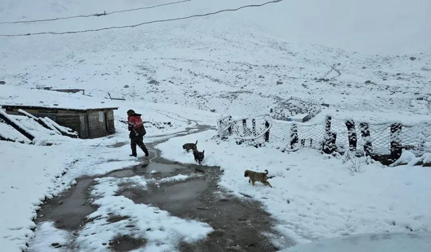 İlk kar yağdı! Yeni güne bembeyaz başladılar
