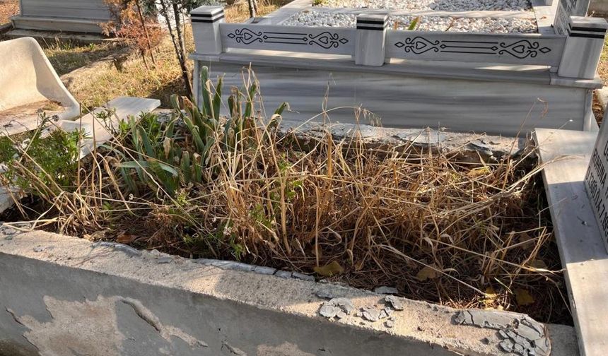 Tekirdağ'da mezarlıktan mermer çalıp evinin bahçesini döşedi