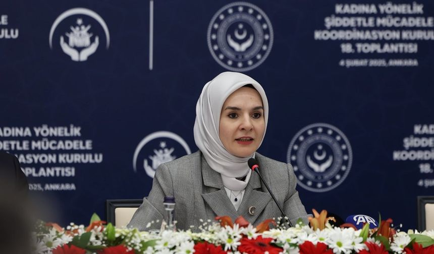 ‘Türkiye’de Kadına Yönelik Şiddet Araştırması’ tamamlandı